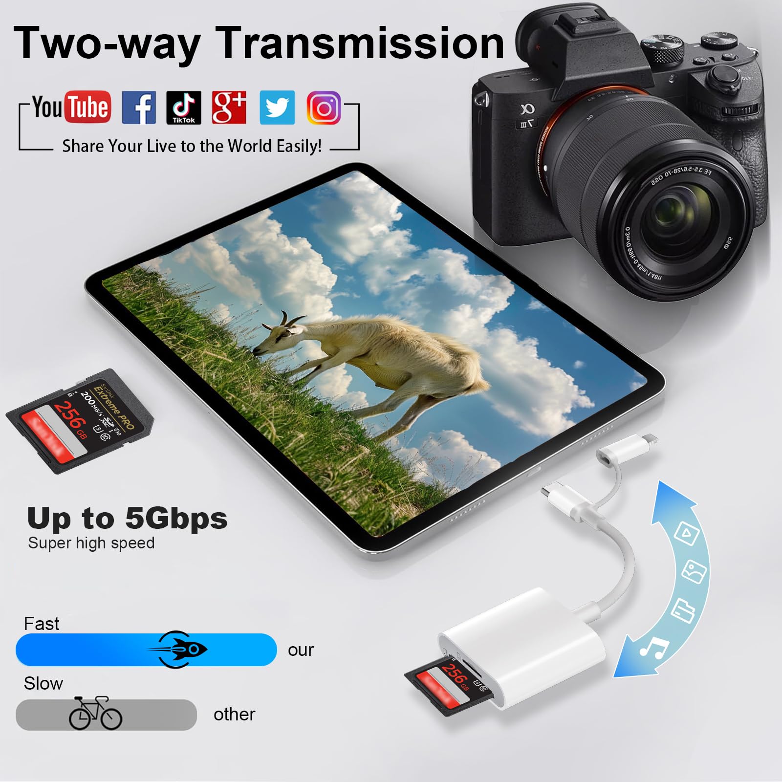 [Certificato Apple MFi] Lettore Schede SD per iPhone iPad, 2 in 2 USB C Lightning Adattatore Schede SD per SD/Micro SD, SD Card Reader per iPhone16 15/Mac/Tablet/Fotocamera
