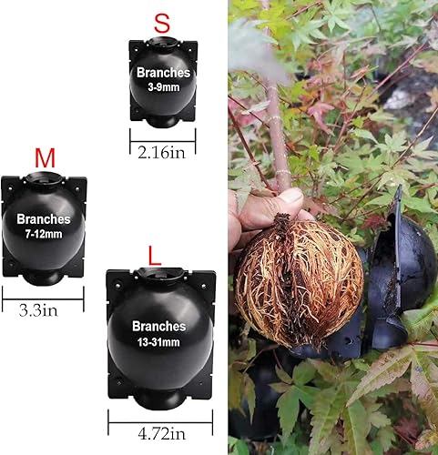 Miniatura 7 de QHC KOCK Paquete de 10 cajas de cultivo de raíces de árbol, herramientas de injerto de bolas de enraizamiento, kit de propagación de capas de aire