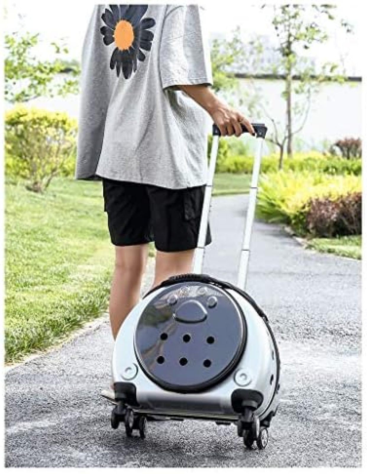 Bolsa De Transporte, Mochila con Ruedas para Mascotas, Perro con Ruedas Premium Alrededor del Transportador De Viaje para Gatos, Cochecito para Perros Pequeño con Ruedas Agrandadas Y Ventilación,P