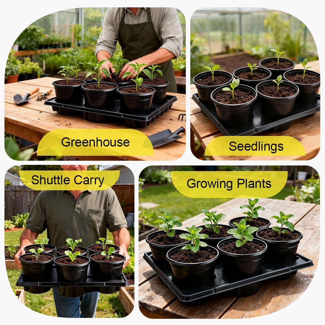6 Inch Plastic Plant Pots 30 Pack and 6 Cell Nursery Pots Trays 5 Pack, Sturdy Seeds Starting Germination Shuttle Carrying Trays, Black Nursery Planting Propagation 5 Sets
