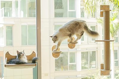 Pet Savvy