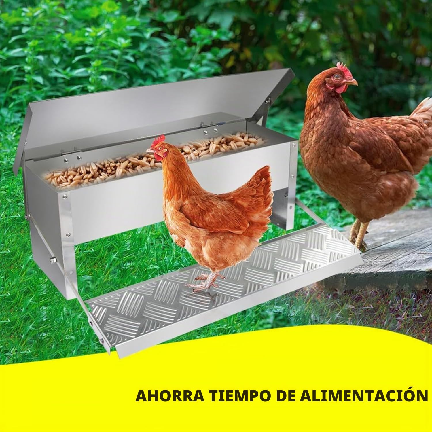 Comedero automático para pollos y gallinas, 5 kg, con pedal automático y manta resistente al agua, apertura automática