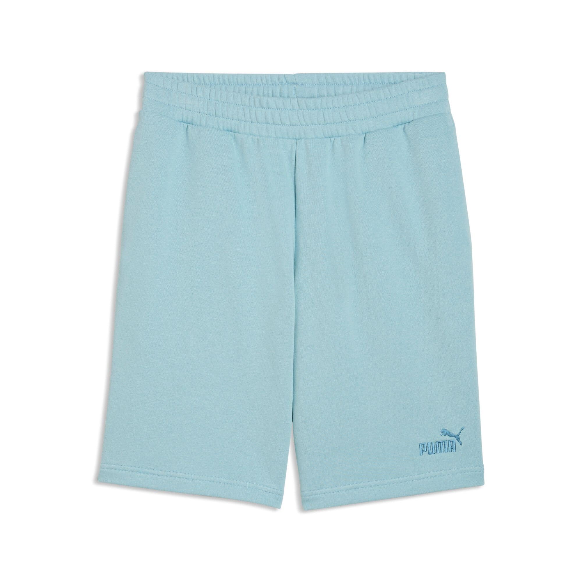 PUMA ESS No. 1 Logo Shorts 10" (s)