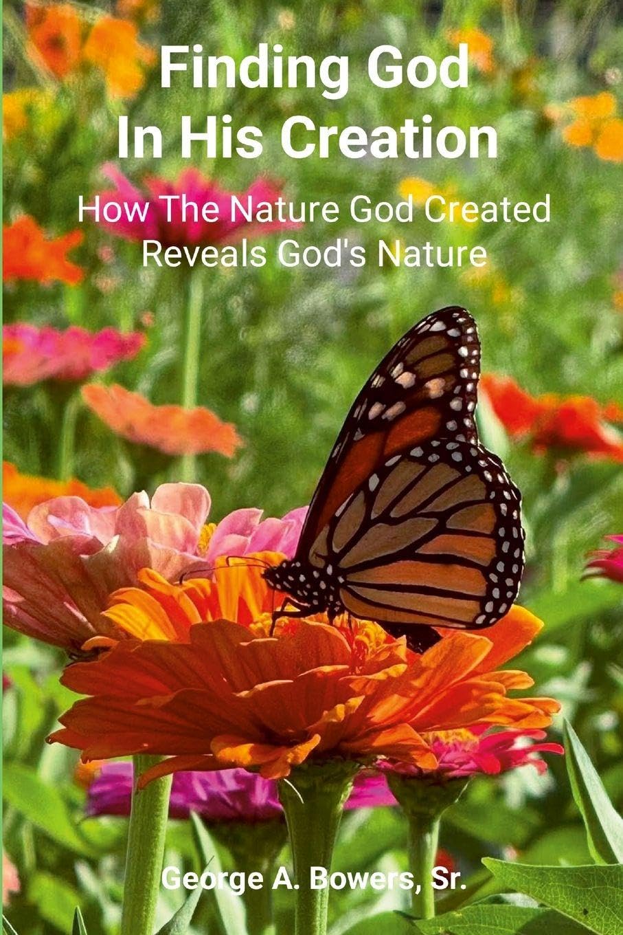 Finding God in His Creation: How the Nature God Created Reveals God's Nature