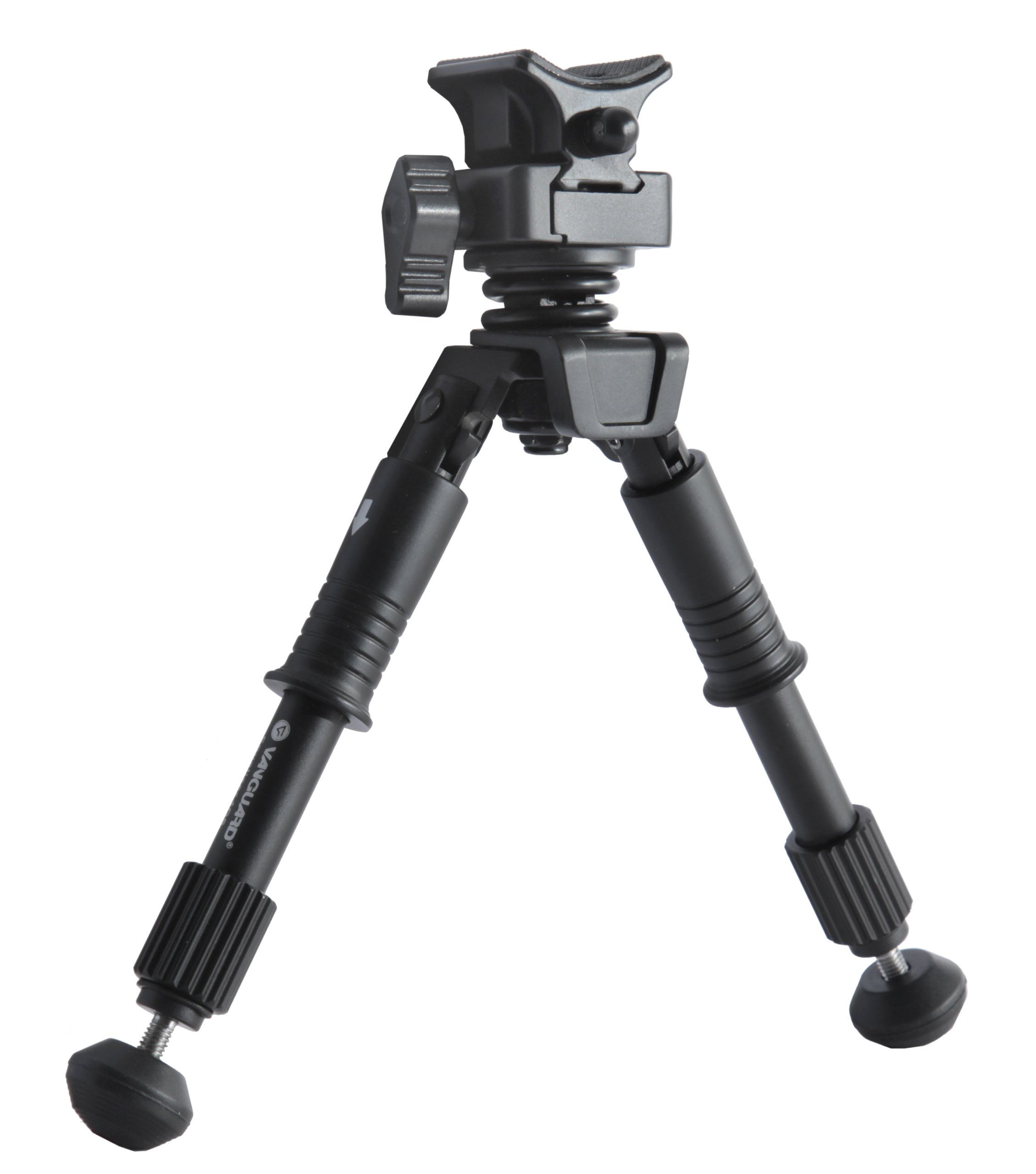 Vanguard Equalizer