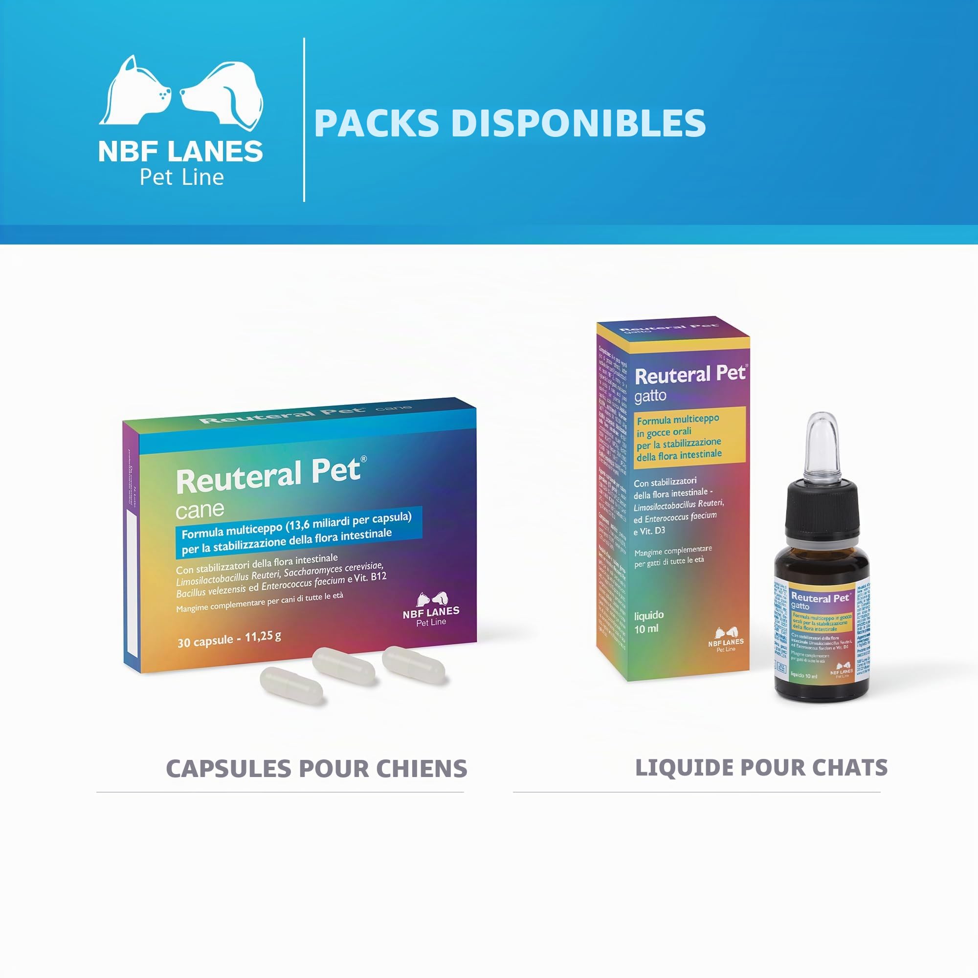 NBF Lanes | Reuteral Pet Chien, 30 Capsules, Probiotique à base de ferments lactiques vivants pour la stabilisation de la flore intestinale chez les chiens