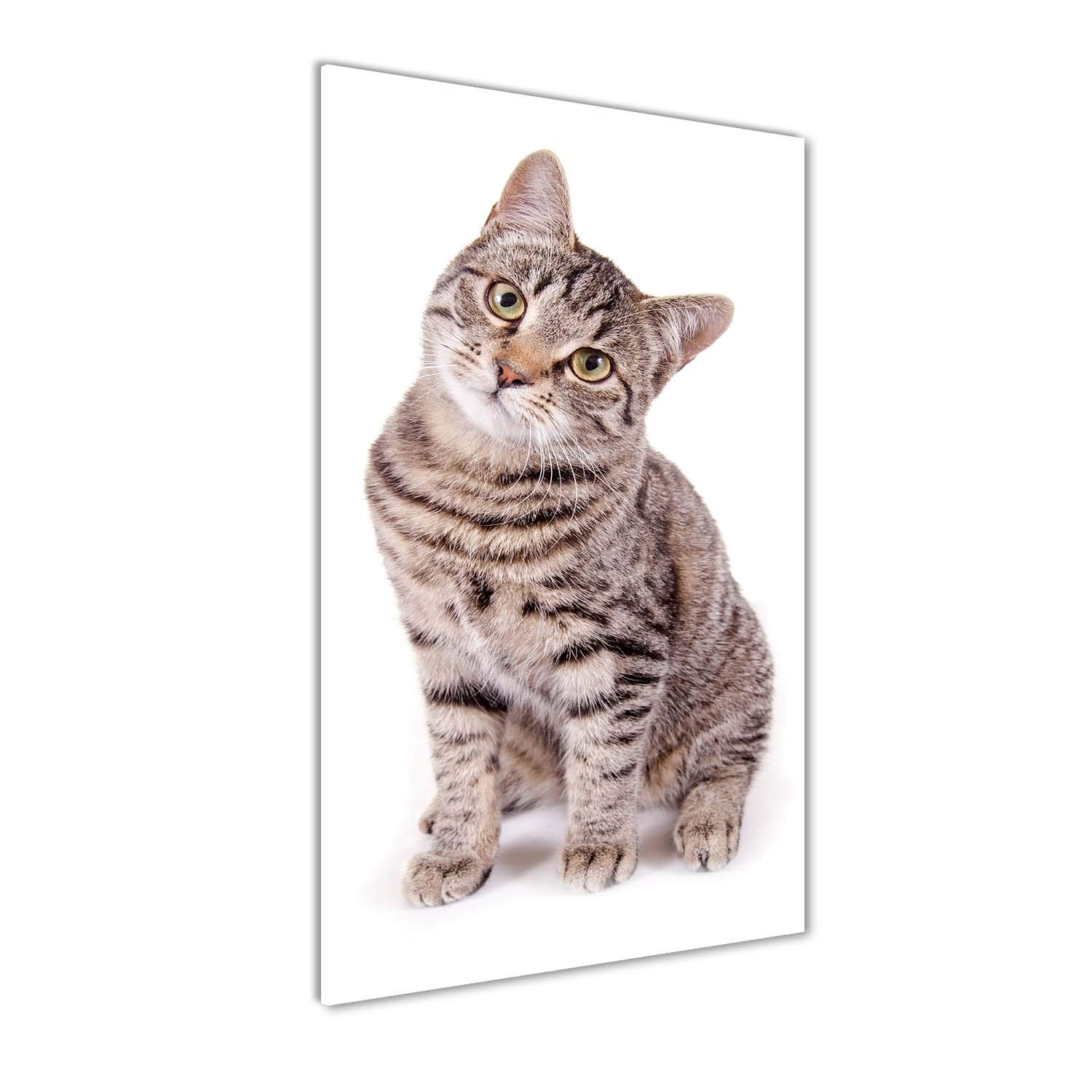 Tableau chat brun en verre acrylique 60x120 cm Tulup pour décoration murale