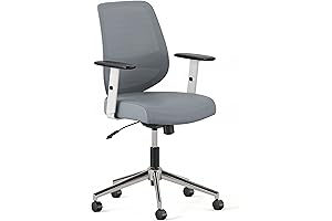 Branch Daily Office Chair: A Branch of Comfort for Branch Office Success