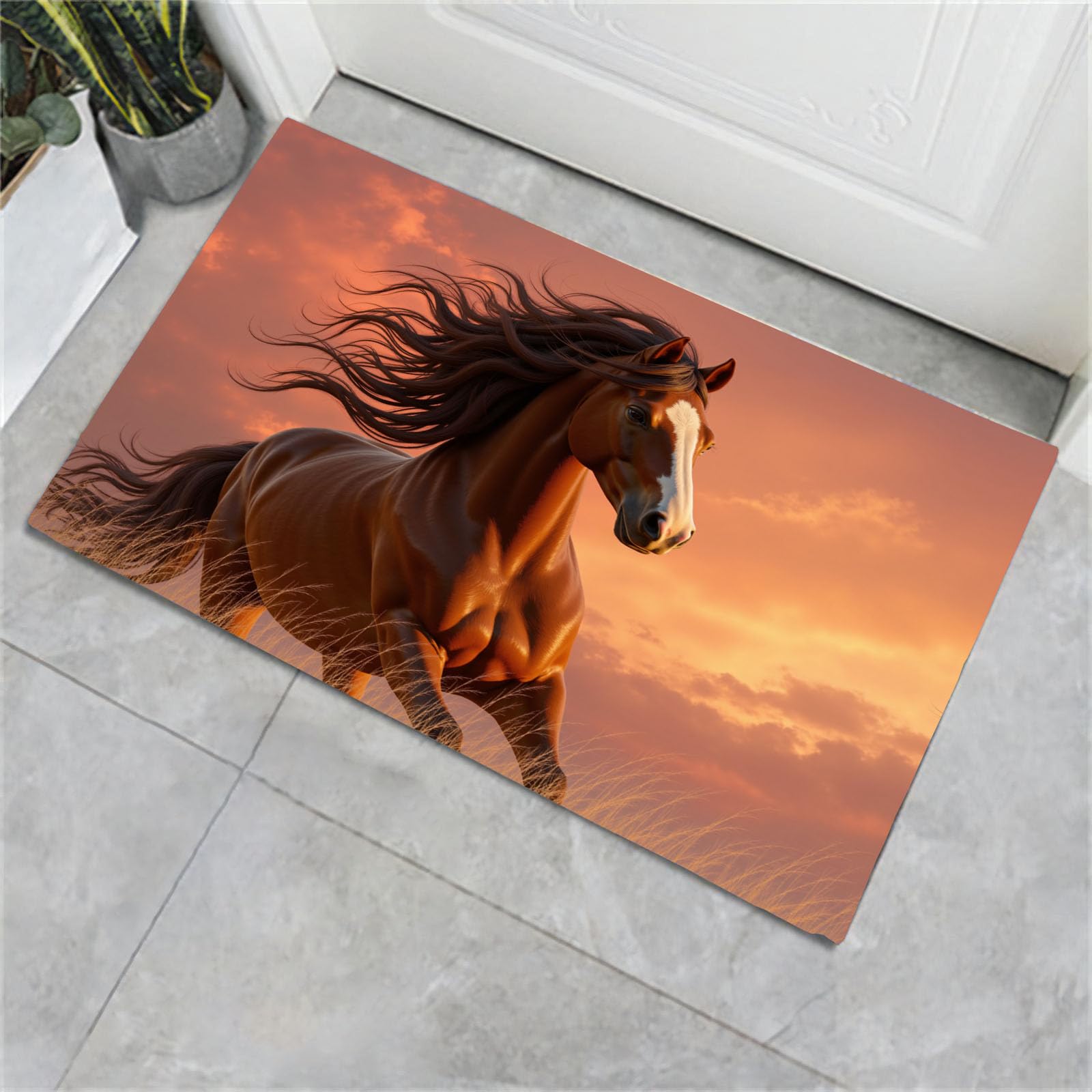 Tapis de boue d'entrée de cuisine motif cheval pour décorer votre intérieur