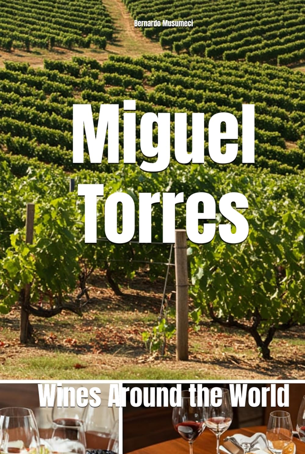 Miguel Torres: Wines Around the World (Wines of the World)