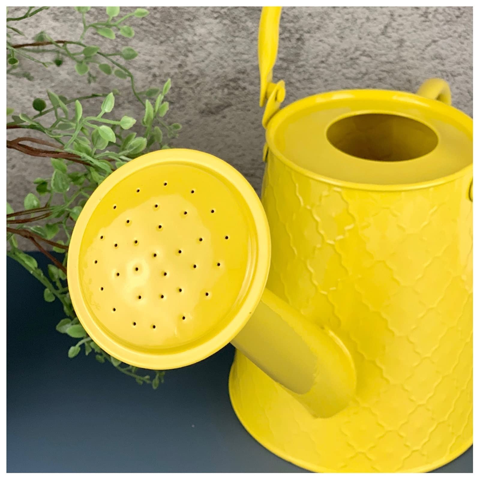 Sprinklerflasche Gießkanne aus Metall, 1,6 l, Gießkanne im modernen Stil mit Griff und Rosehead Water The Flowers Gießkanne Grün, Gelb Gießkanne(Geel)