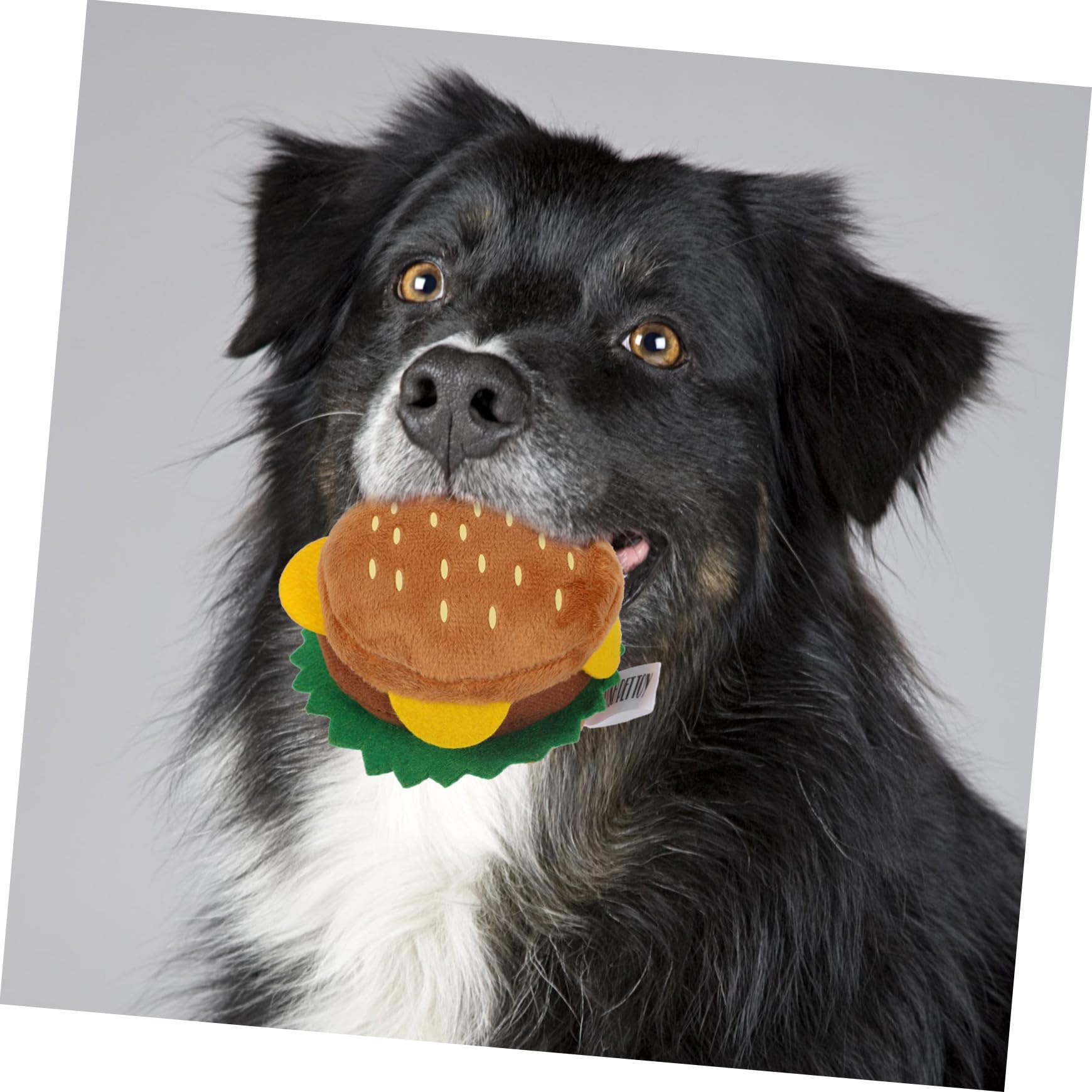 Ciieeo Peluche pour Chien D'aliment Son Couineur Intégré, Résistant la Mastication, pour Jouer et Tirer Votre Chiot