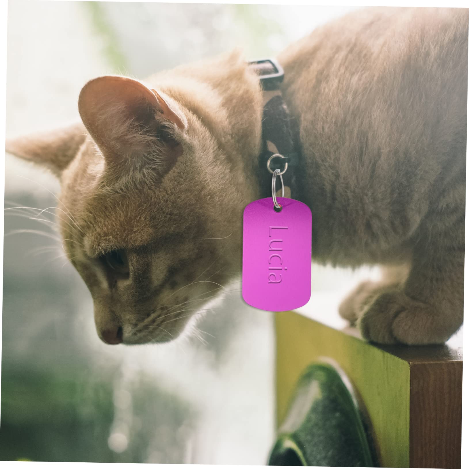 FOMIYES 120piezas Etiquetas De Identificación Para Mascotas Placas De Perro De Aleación Para Personalizar y Proyectos De Manualidades Etiquetas Duraderas y Ligeras Para Perros y Gatos