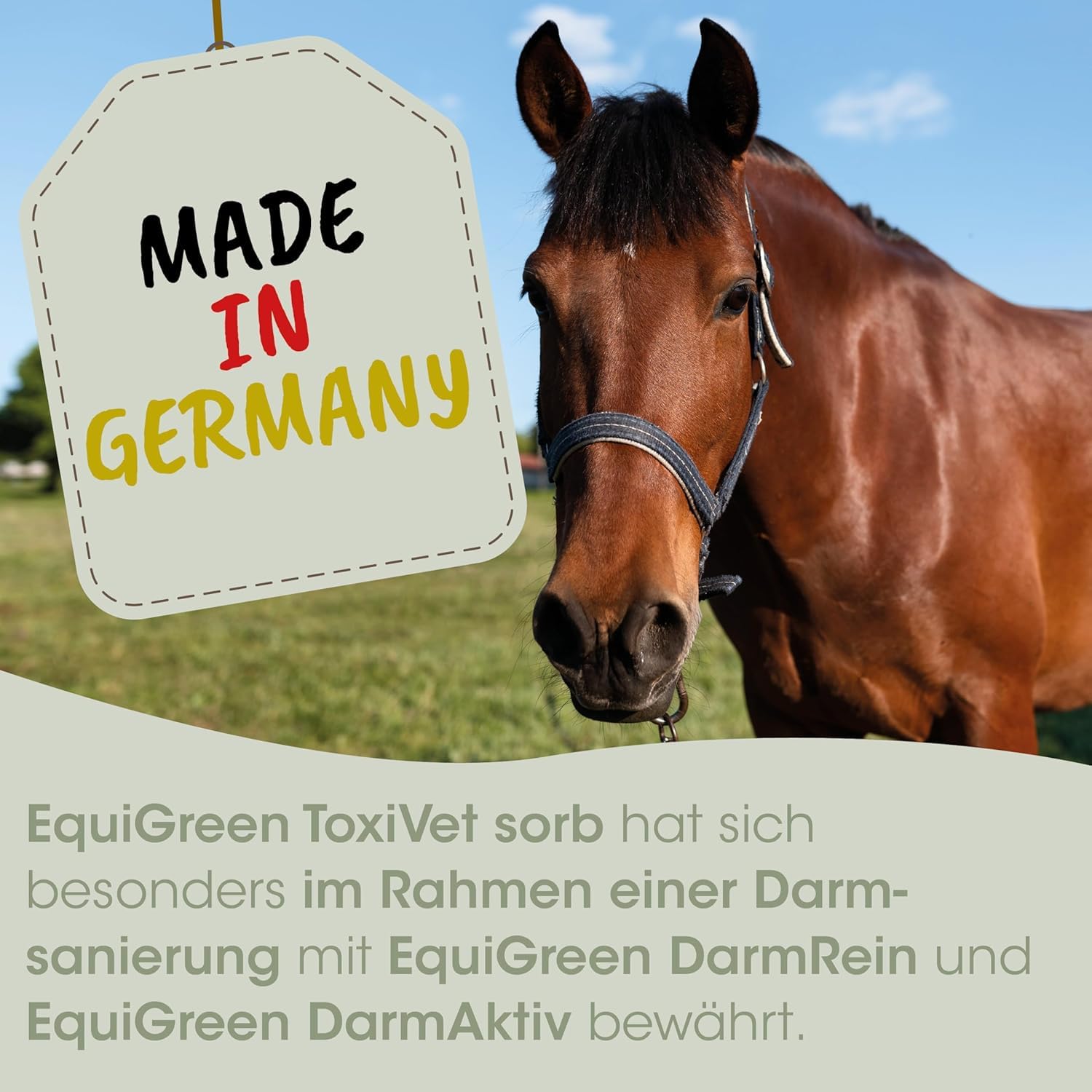 EquiGreen ToxiVet Sorb Pellets 3 kg | Ergänzungsfuttermittel zur bedarfsgerechten Fütterung von stoffwechselempfindlichen Pferden mit Toxin bindenden und präbiotischen Eigenschaften