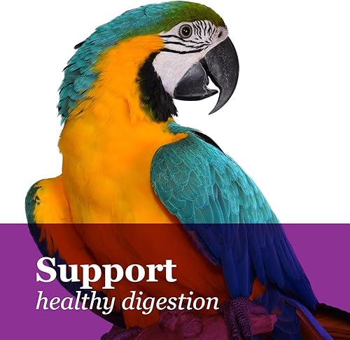 Miniatura 5 de F.M. Brown's Tropical Carnival, comida gourmet de guacamayos Big Bites para picos grandes, semillas, verduras, frutas y nueces con probióticos, 14