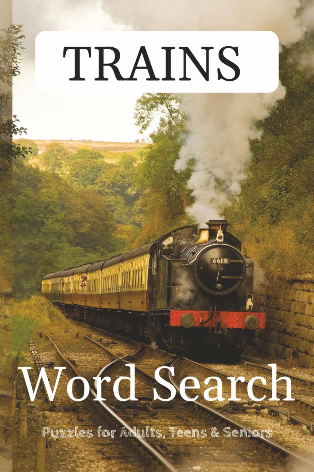 Train Word Search: 110 pages | 6x9 | Travel size | Ideal for Train enthusiasts
