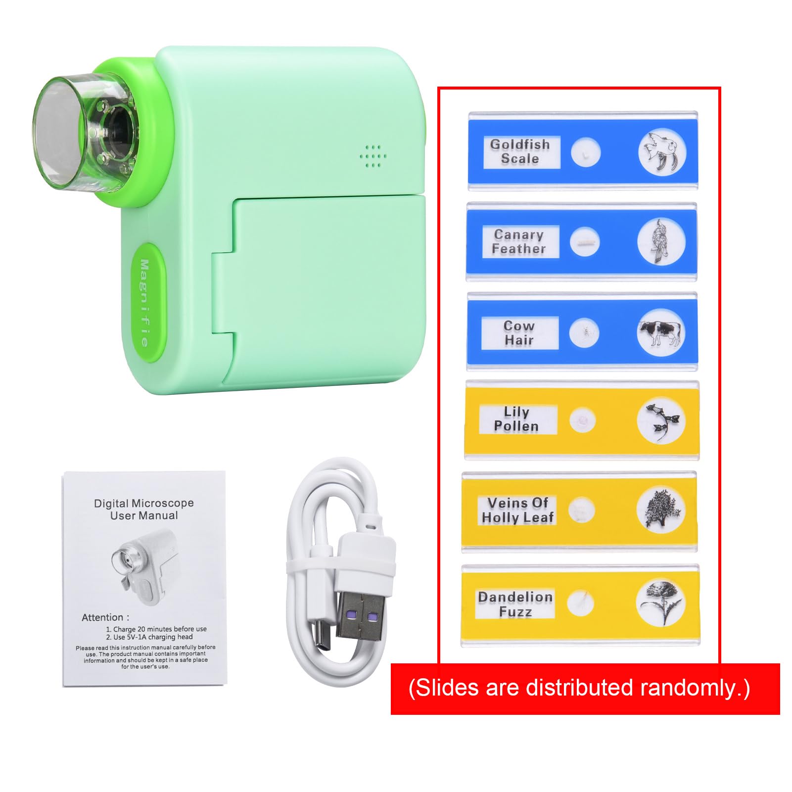 Bewinner Microscopio Digital para Niños 1000X, Portátil con Pantalla 4K,