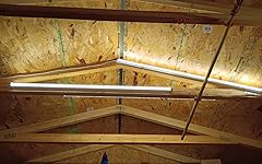 Review Image by Rufus Rufus