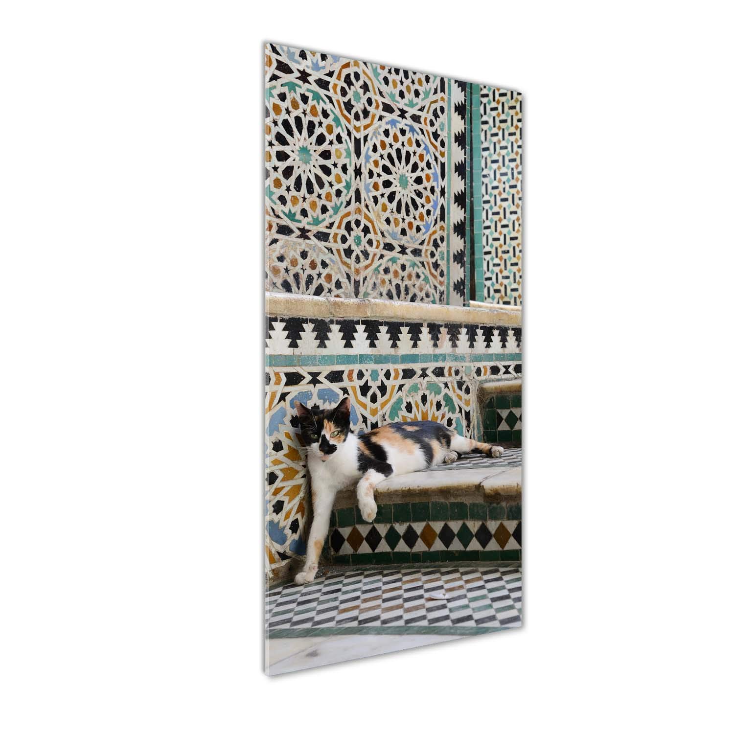 Déco murale haut de gamme en verre acrylique Tulup 50x125 cm motif chat multicolore