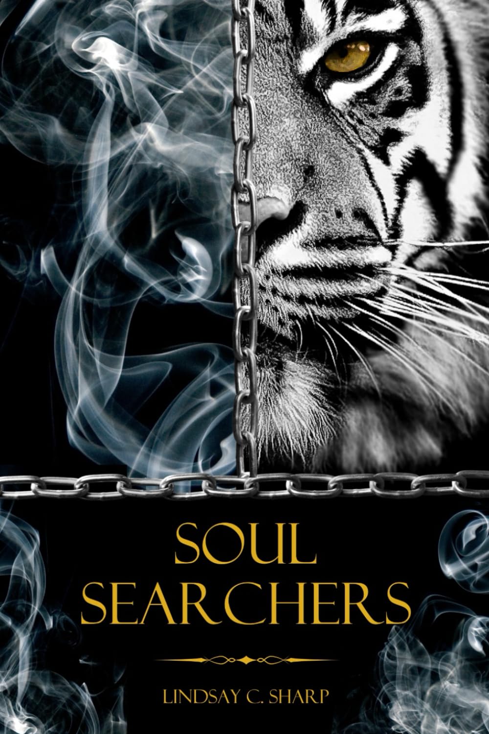 Soul Searchers (Legends of Starsland)