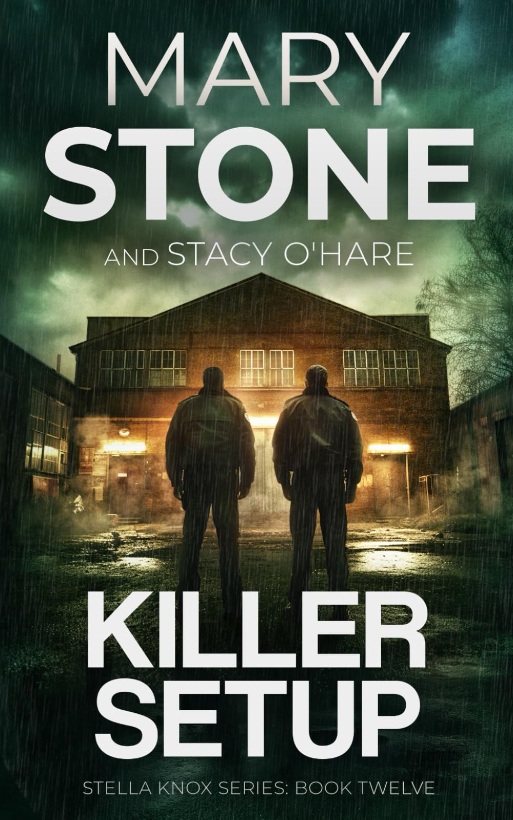 Killer Setup (Stella Knox FBI Mystery Series)