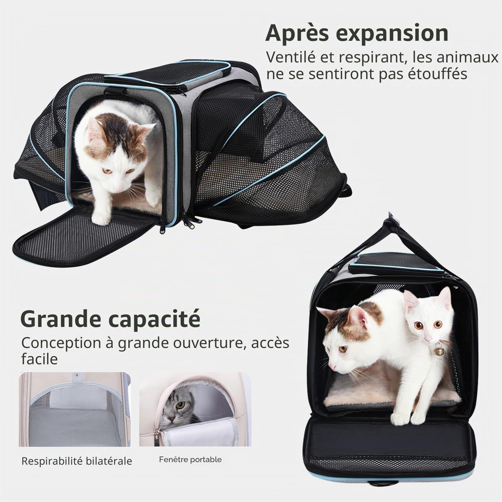 PETCUTE Sac de Transport Chat Extensible Respirant,Sac à Main Bandoulière Pliable pour Animal de Compagnie avec Matelas Amovible,Airline Approuvé,Sac Transport Chien pour Camping Randonnées Voyage