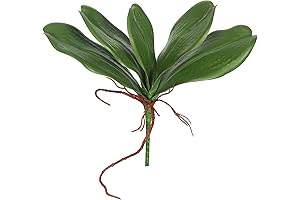 Vickerman 9" Green Artificial Orchid Leaves - Maintenance Free Faux Floral Spray...