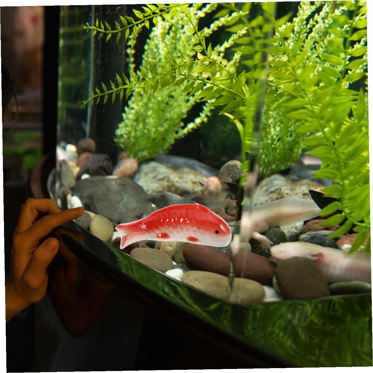 Supvox 5stücke Schwimmendes Fischornament Keramik Dekorative Unterwasser-deko Für Aquarien Langlebige Und Fische Für Lebendiges Fischbecken