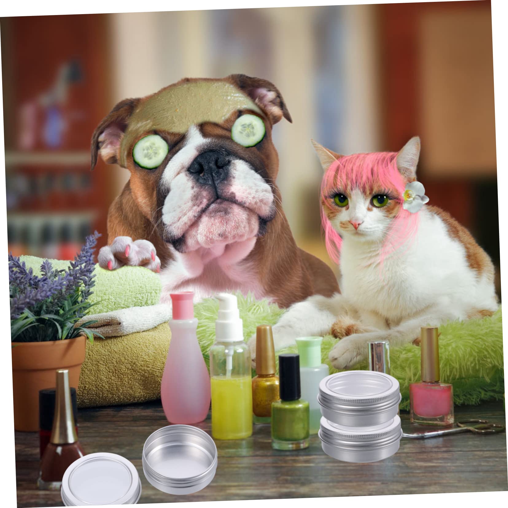 Angoily 3 Set Barattoli Vuoti Alluminio Finestra Trasparente Da Contenitori Rotondi Per Cosmetici E Progetti Fai Da Te Per E Piccoli 12 Pezzi*3