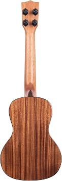 Solid Cedar Top Acacia Concert
