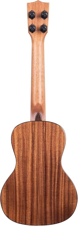Solid Cedar Top Acacia Concert