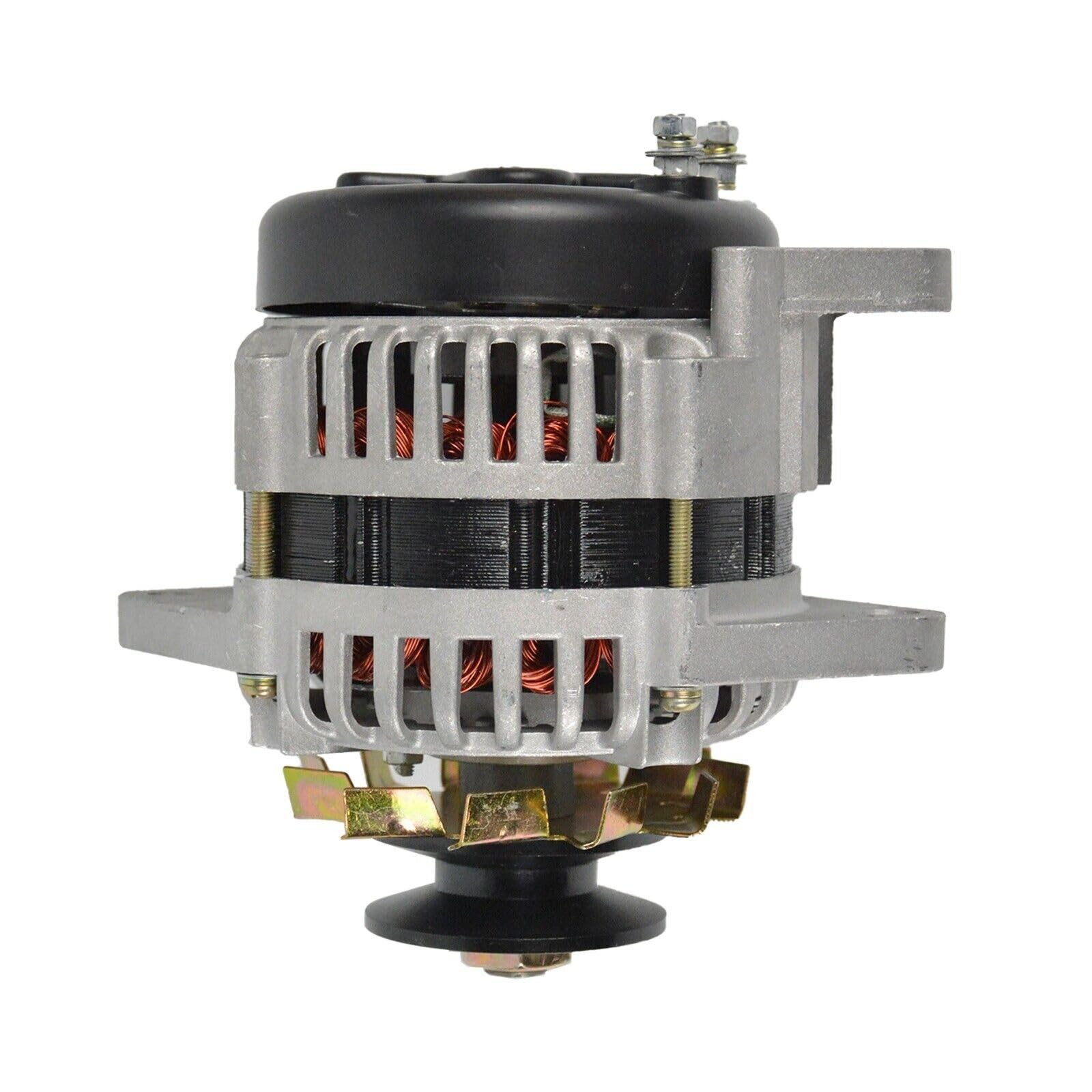 Amazon.co.jp: 1500W 永久磁石ブラシレスオルタネーター 110V 高出力