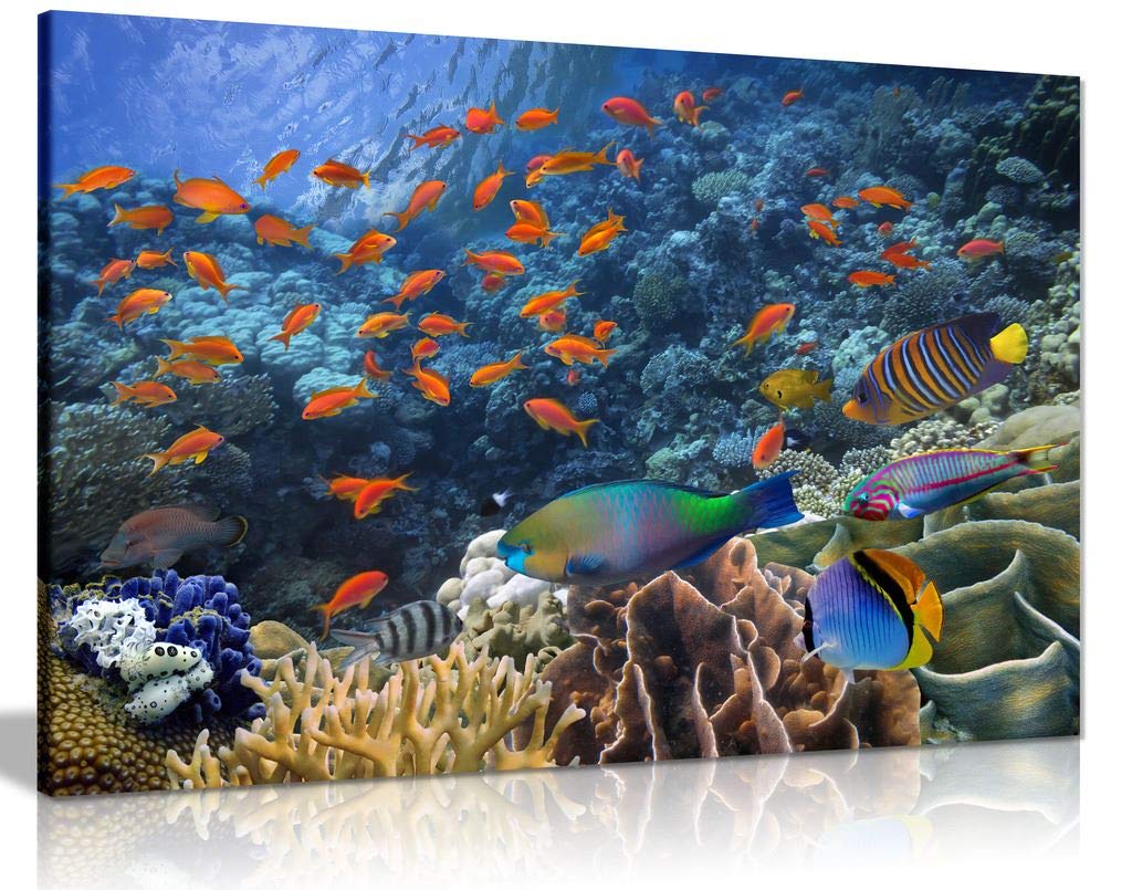 Panther Print Coral Tropical Fish On Reef Canvas Wall Art Picture Print (12X8)