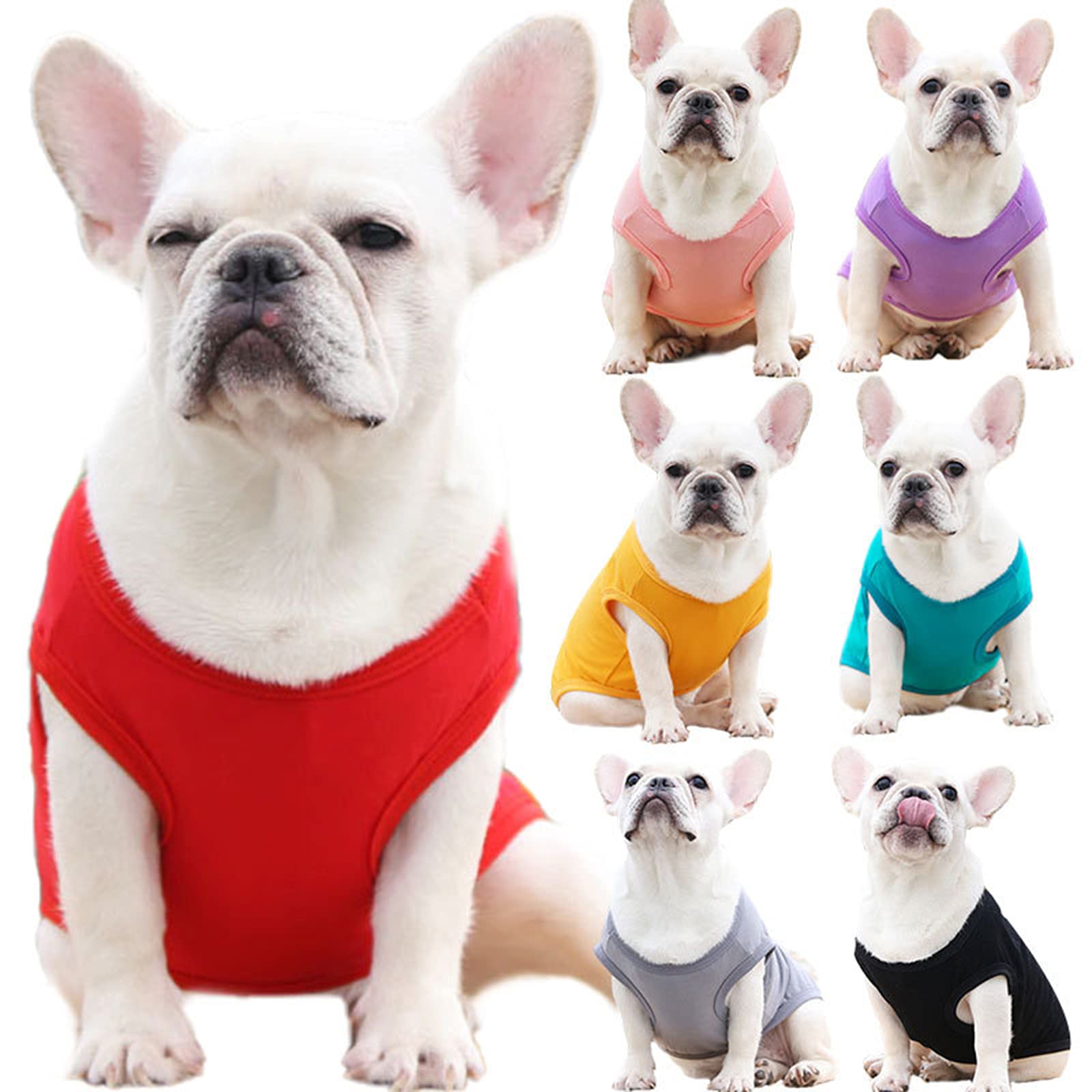 Hundebekleidung T-Shirt – Atmungsaktives Baumwoll-Shirt Mit Rucksack-Design, Größe XXL