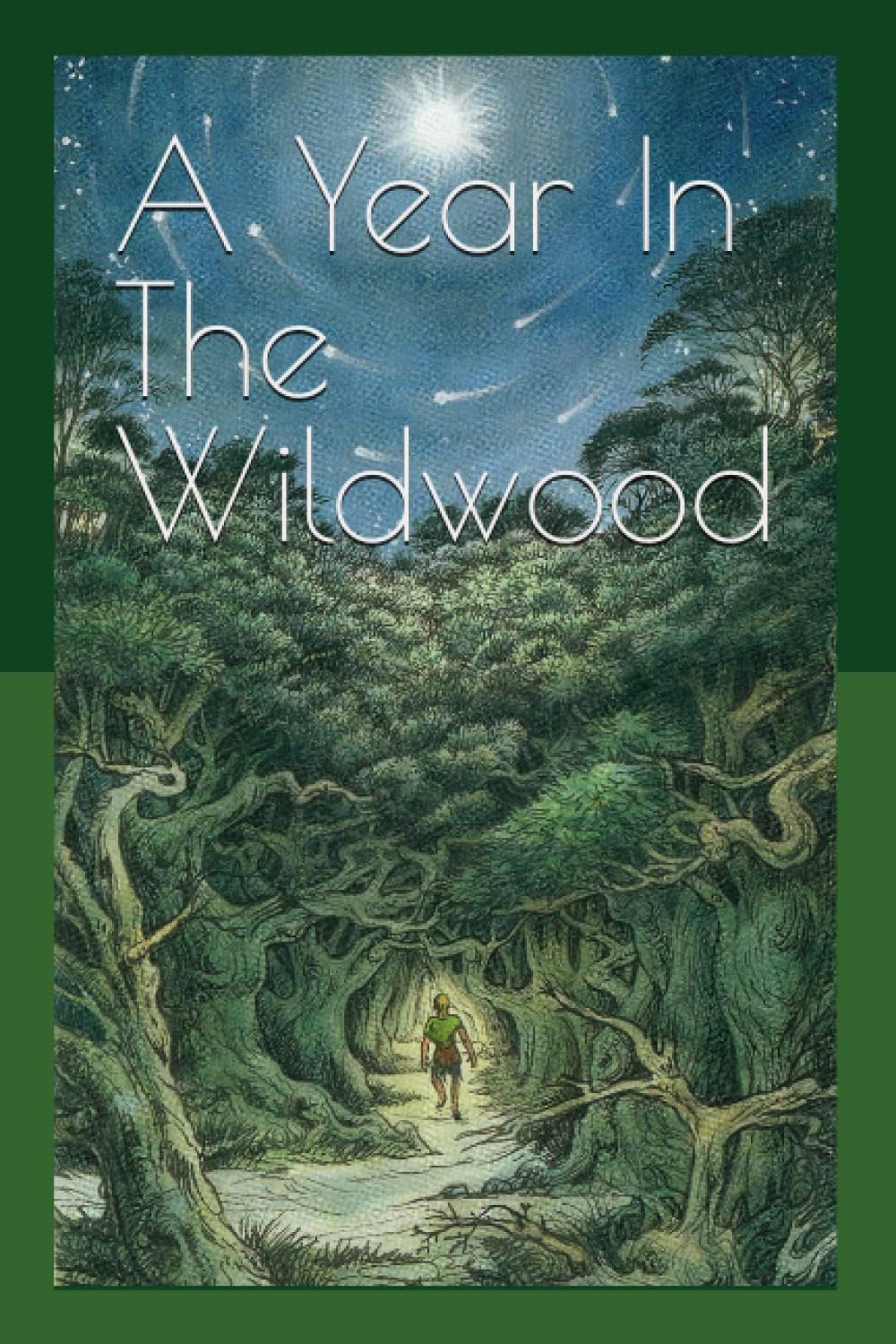 A Year In The Wildwood: Explore The Wildwood Tarot Paperback – August 22, 2020