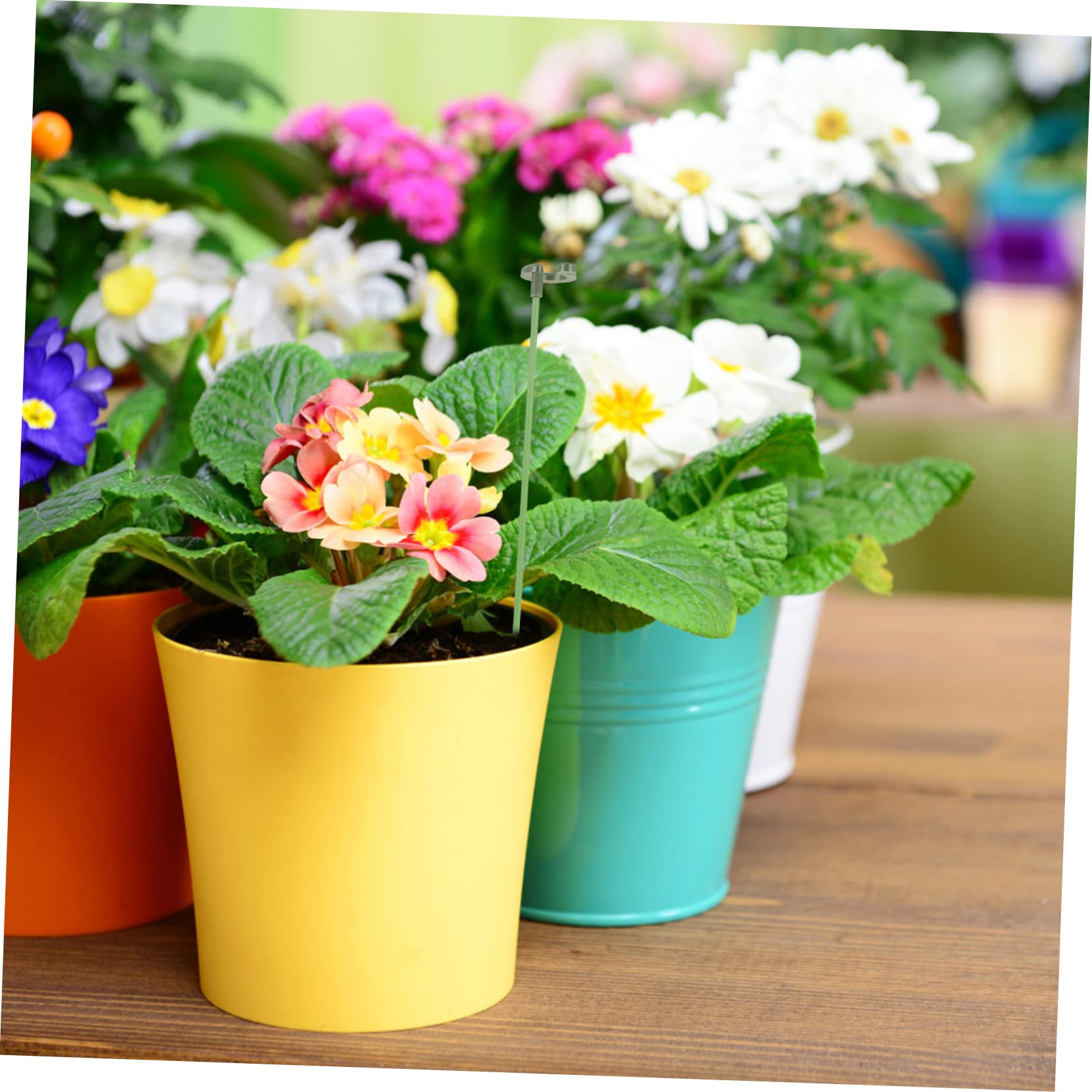 Toddmomy 3 Sätze Pflanzenstützrahmen Blumen- Anlage Pflanzenpfähle Stäbchen zur Unterstützung von Pflanzen Gitter Stützpfähle für den Garten Garteneinsätze kleine Gartenpfähle Plastik Grün