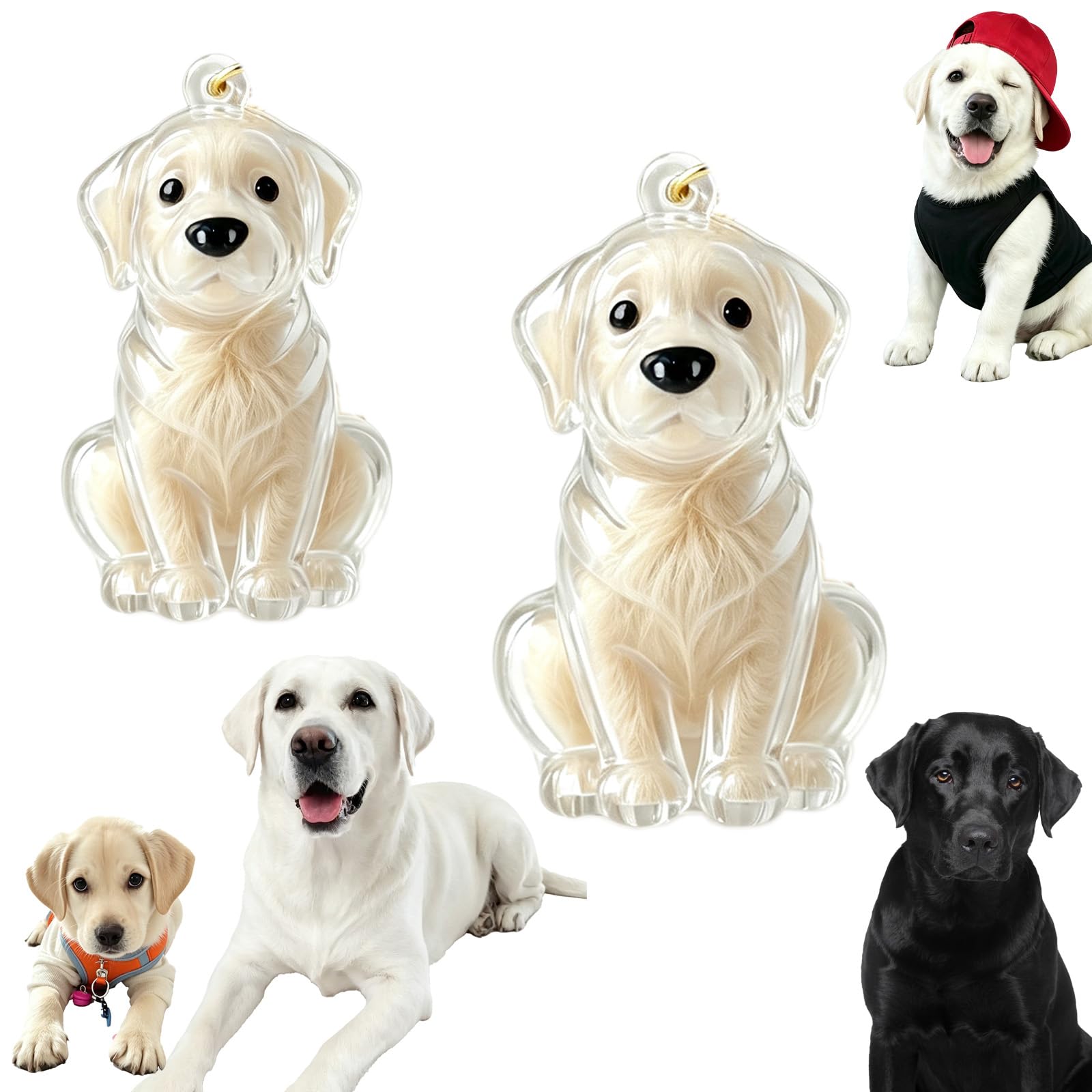 2-Pack Labrador Dog Hair Storage Capsule Keychain