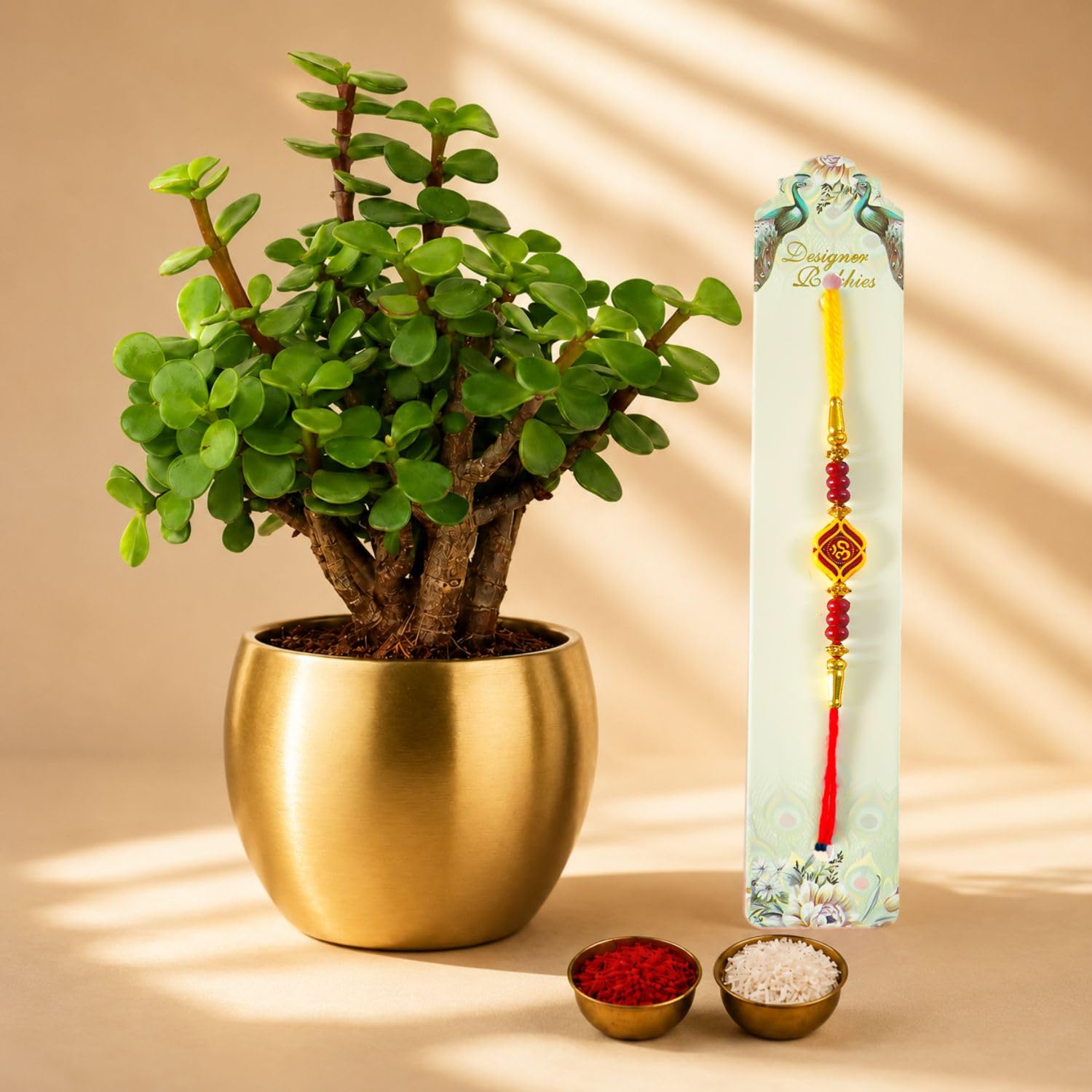 Half Engineer Jade Plant In Gold Tone Metal Pot 3 X 3 Inch Pot Included with Premium OM Rakhi |Rakhi Gift|Rakshabandhan, Brother Bhai, Sister, Bhabhi-image-16