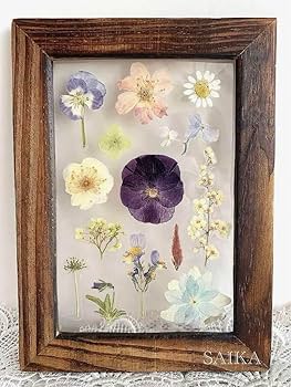Amazon.co.jp: 花 SAIKA 押し花アート 古木風 透明 インテリア