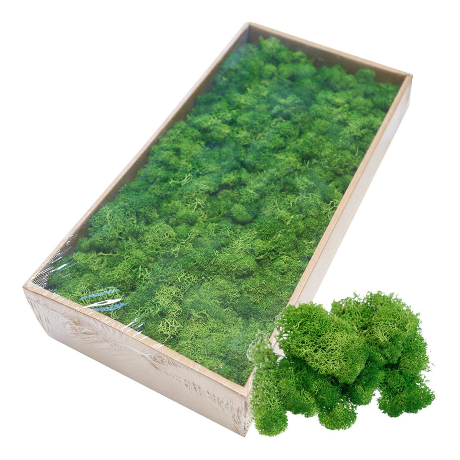 Stronrive Green Natural Preserved Reindeer Moss Preserved Reindeer Moss- No Smell & No Color Loss - For Potted Plants, Terrarium, Fairy Gardens, Wall Art, Wedding, Any Craft 500G
