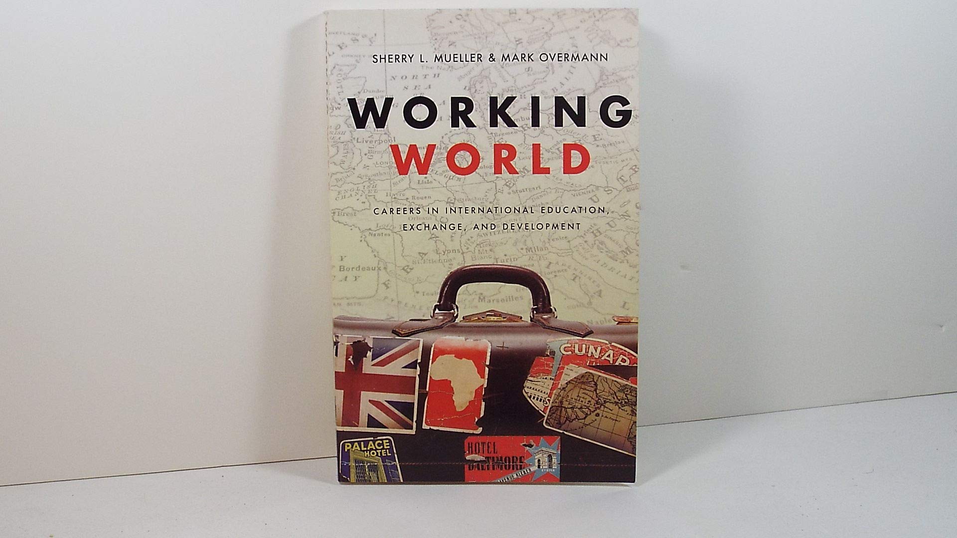 Buy Working World: Careers in International Education, Exchange, and Development — BookShops.in