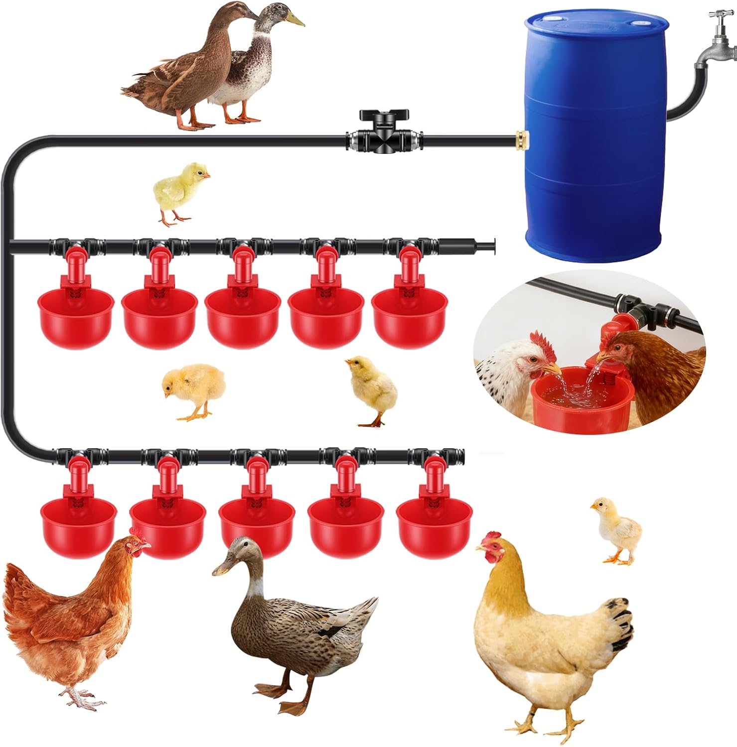 Complete Automatic Chicken Watering System with Quick-Connect Large Cups, 32.8ft Pipeline & Float Valve – 10 Red Cups, Removable & Washable