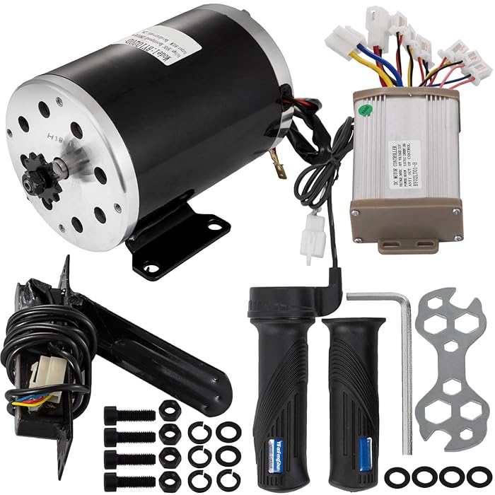 Buy FlowerW 48V Brushed DC Motor 800W Electric Motorcycle Conversion