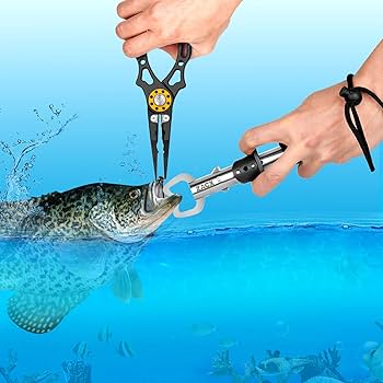 釣り　キャスティングプラグ&プライヤーセット 71qjhfnqdBL._UF350,350_QL80_.jpg