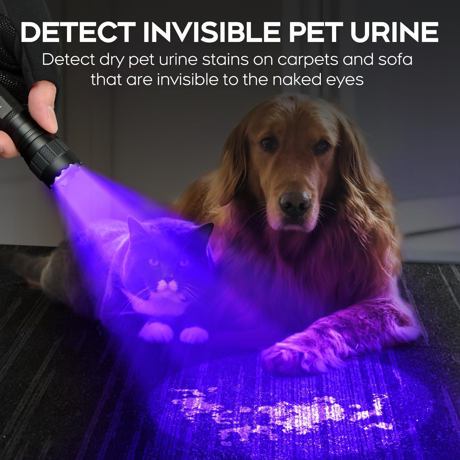 UltraFire Torcia UV 395 – 405 nm, luce nera, 10 W, luce singola UV, piccola lampada ultravioletta per resina indurente, caccia allo scorpione, macchie di animali domestici, 501UV-395 PRO