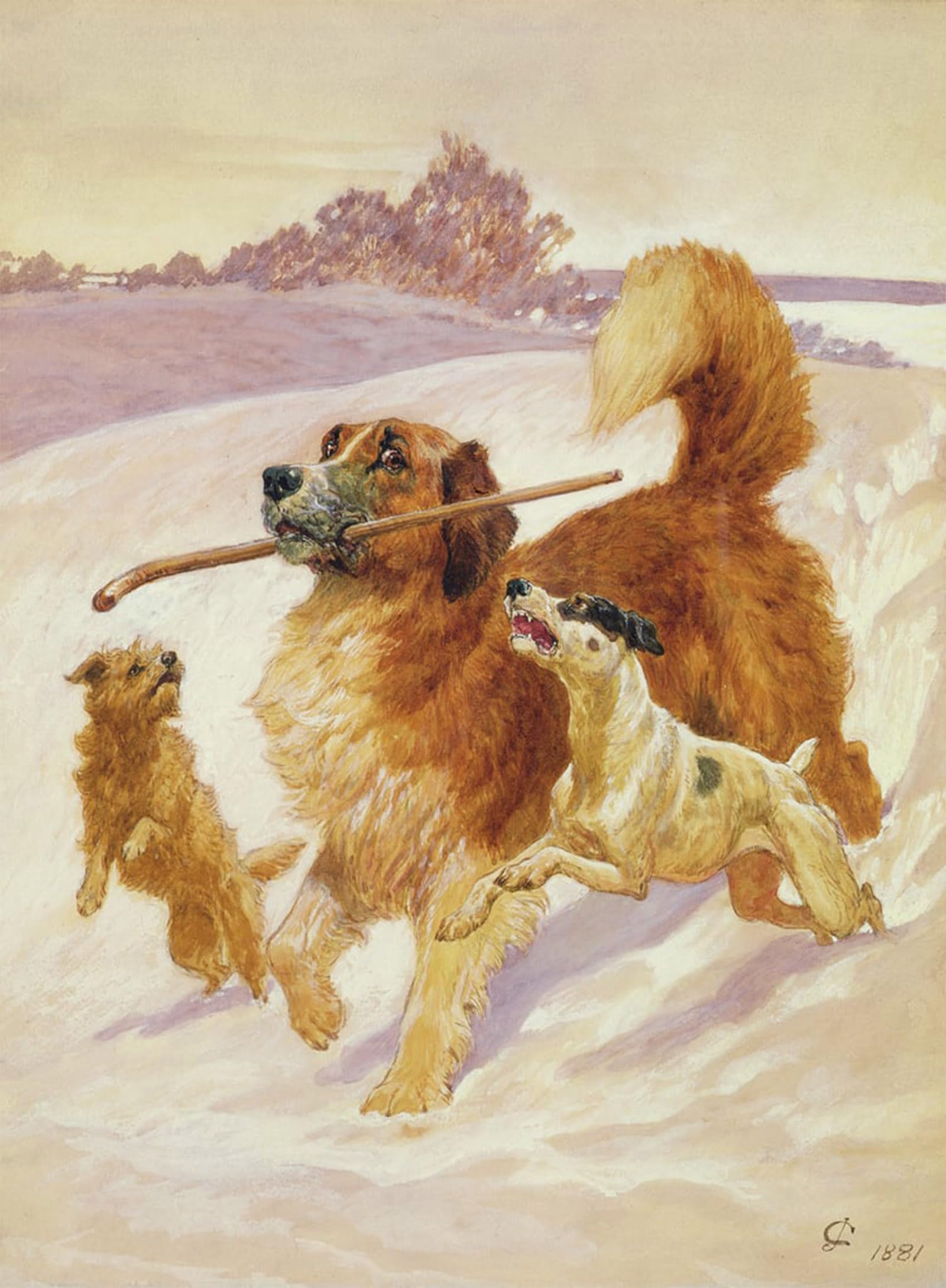 POSTERIIk Famous Animal Posters Vintage Picture Three Dogs Playing in the Snow by John Charlton Modern Wall Decor for Home Decor 60x90cm