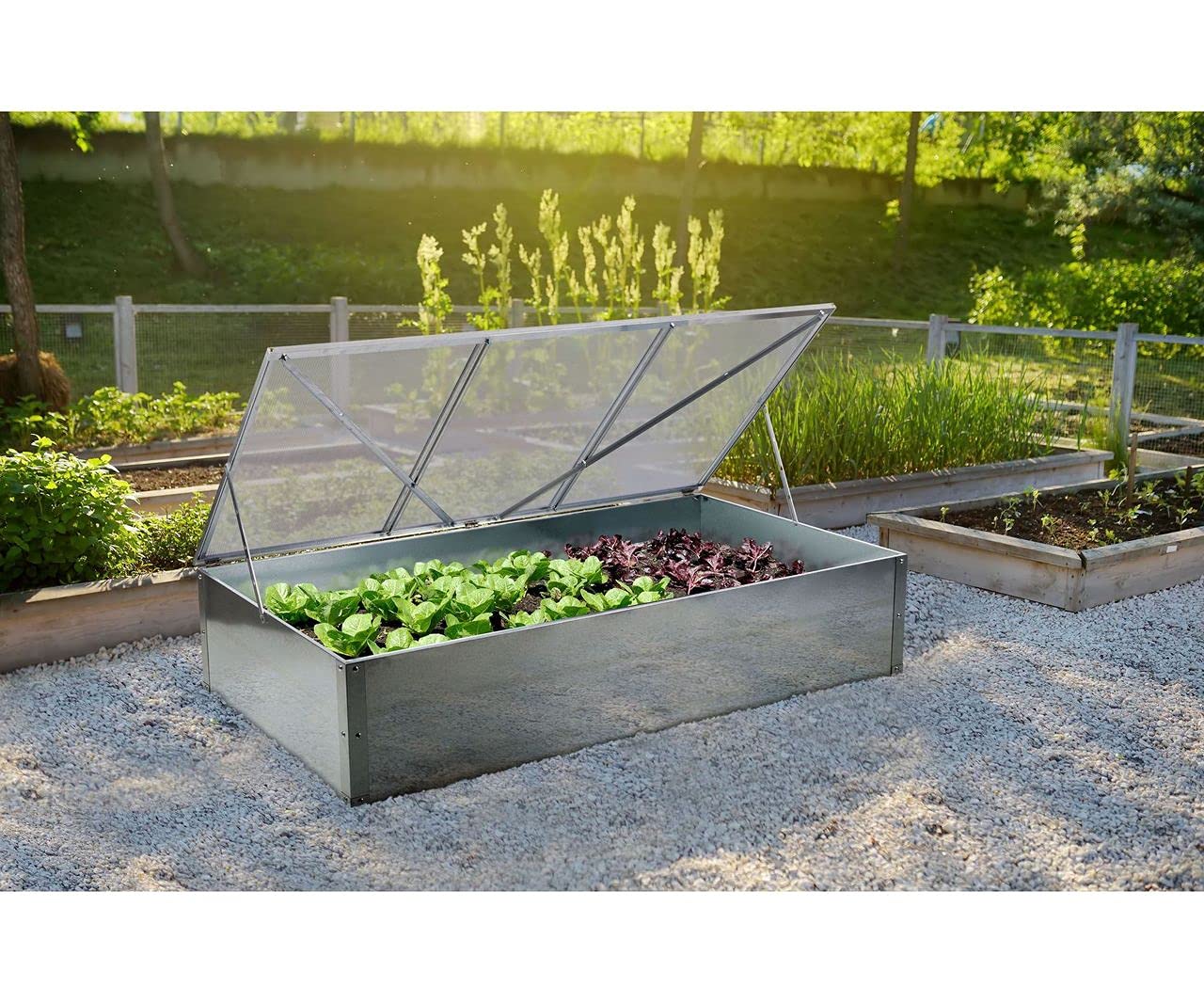 Gewächshaus/Frühbeet G21 GZ11-150 x 75 x 32 cm, stabile und feste Aluminiumkonstruktion