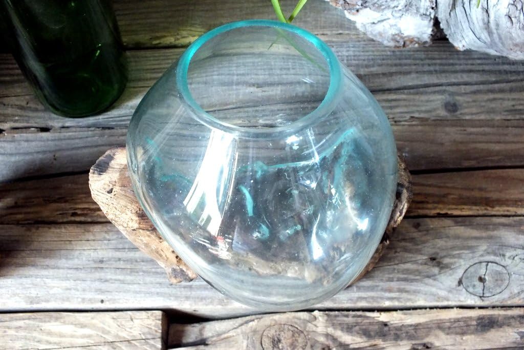 Amazon 流木ガラス アクアリウム ガラスオブジェsサイズ C 1点もの 置物 オブジェ オンライン通販