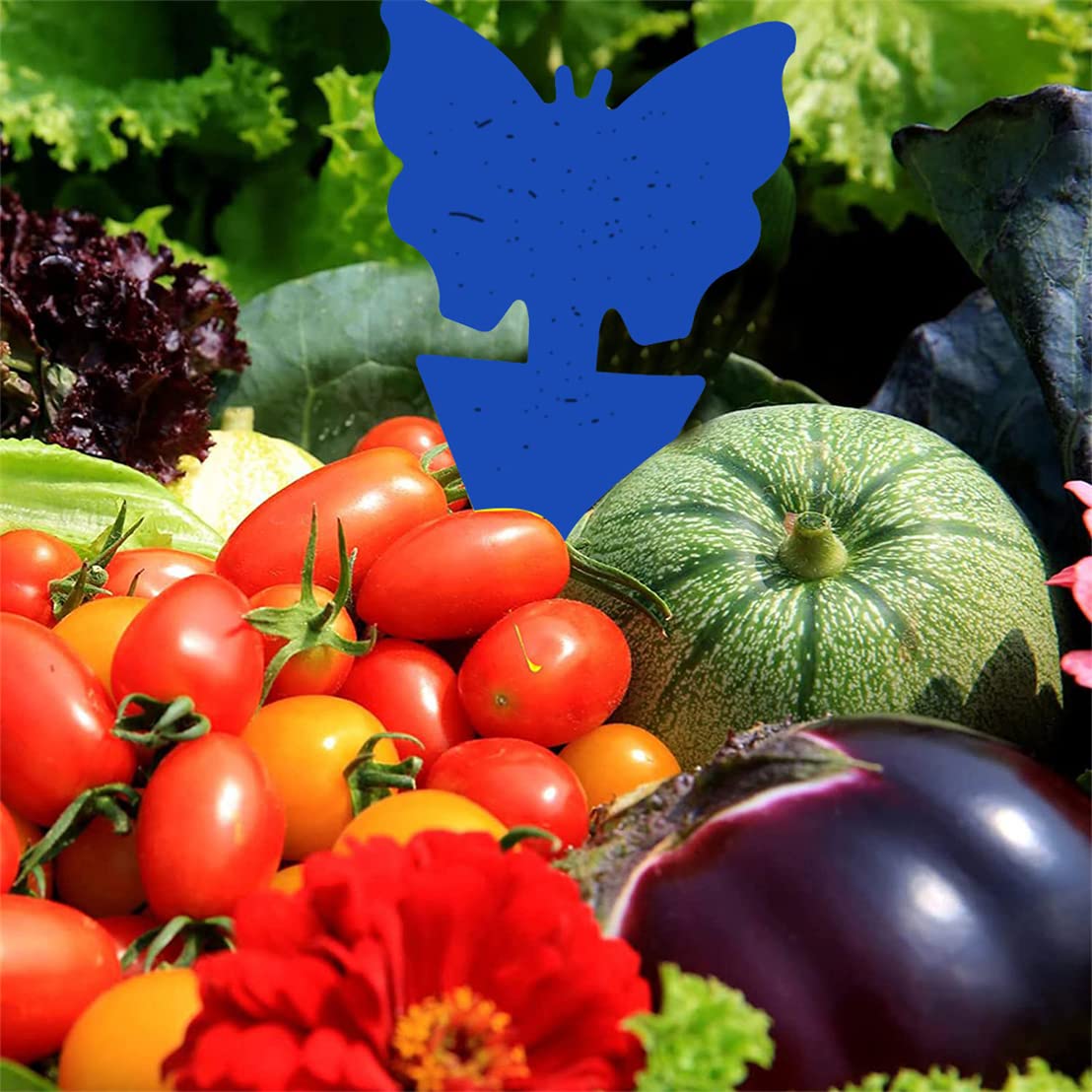 frubby® Trappola per Mosca della Frutta e Trappola per Mosca dell'aceto