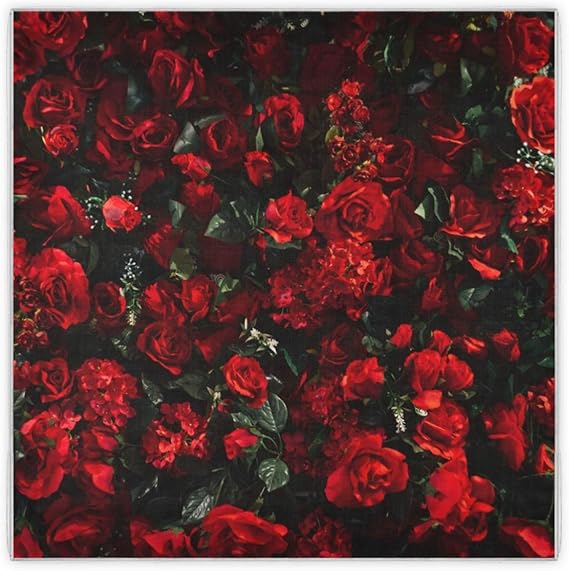 Amazon スカーフ バンダナ おしゃれ レデイース シルクスカーフ 薄手 髪飾り バッグ飾り 人気 大判 バラ 薔薇 赤 正方形 スクエア 大きめ 90 90cm 肩掛け オフィス 柔らか スカーフ 通販 Amazon スカーフ バンダナ おしゃれ レデイース シルクスカーフ 薄手 髪飾り バッグ飾り 人気 大判 バラ 薔薇 赤 正方形 スクエア 大きめ 90 90cm 肩掛け オフィス 柔らか スカーフ 通販